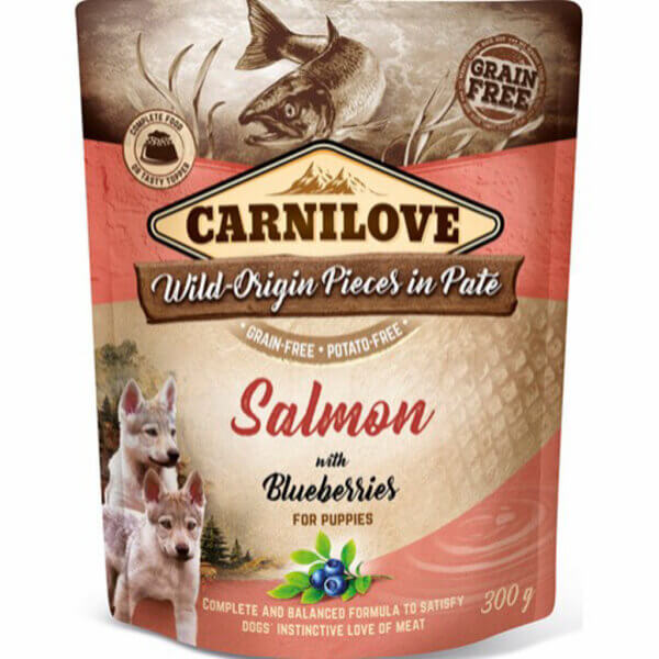 Carnilove-Pate-Salmon-and-Blueberries-For-Puppies-300g_default.jpg