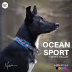 Ocean-Sport-halsbaand2_default.jpg