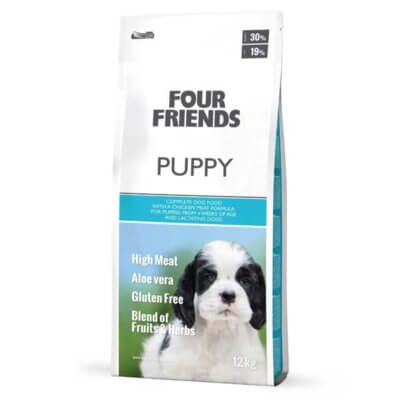 fourfriends-puppy12