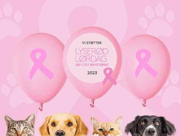 Vi støtter Kræftens Bekæmpelse støt brysterne med Lyserød Lørdag 2023