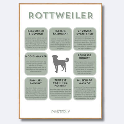 posterly rottweiler